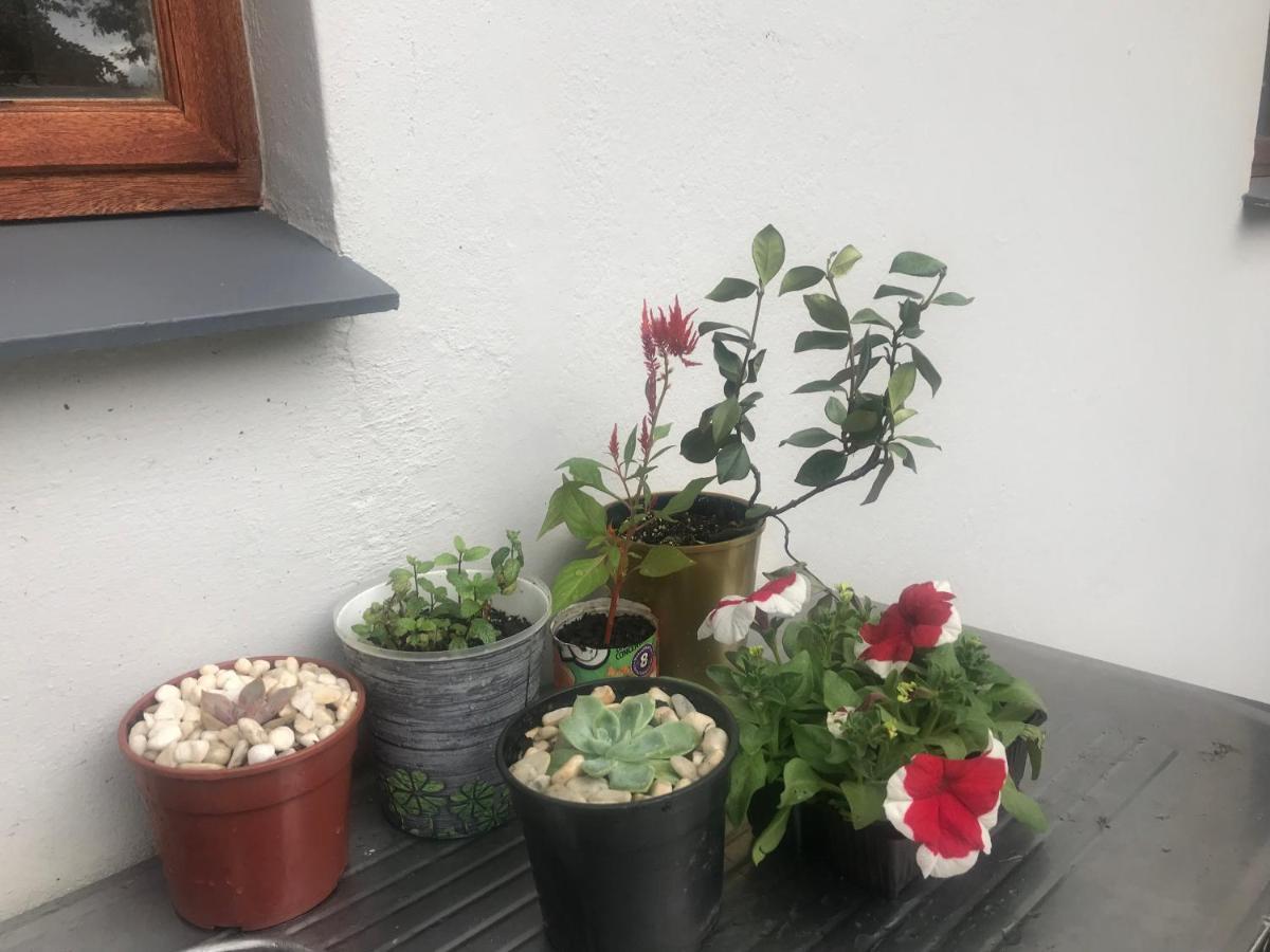 Bed and Breakfast Bokamoso Views Rustenburg Esterno foto